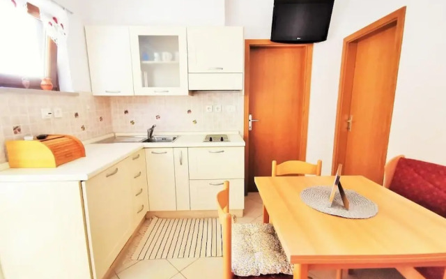 Tiny Shell House