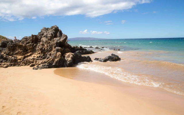 Hale Kamaole #308 - 1 Br Condo