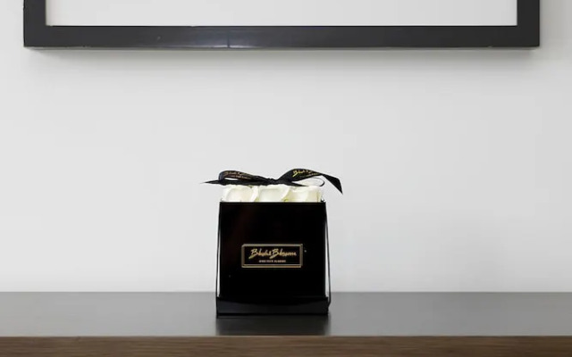 Unique Luxury Central Flat