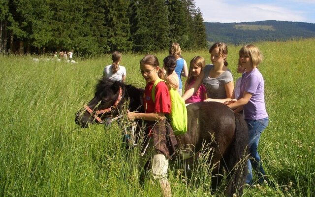 Der Ponyhof Familienhotel & Reitstall