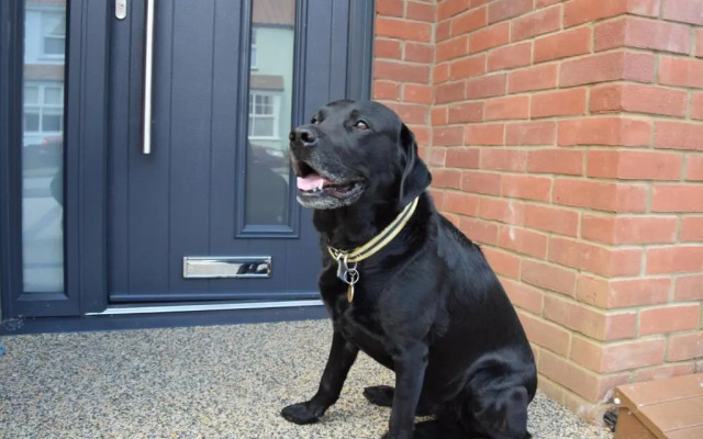 Salt Marsh House, Southwold