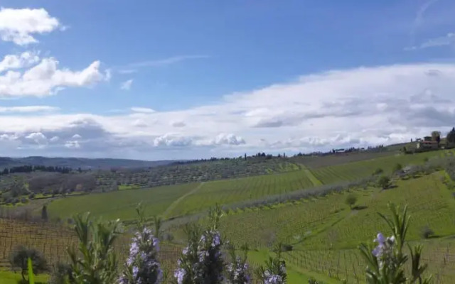 Immersi nella campagna Toscana