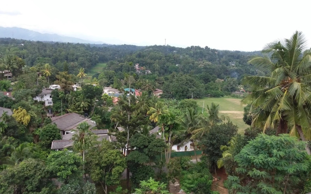 Alpha Homes - Mountain Views