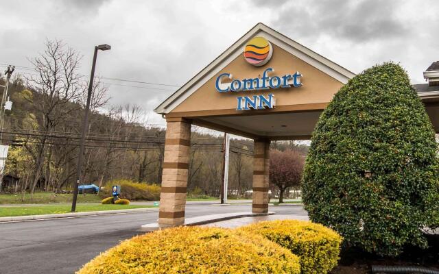 Comfort Inn Atkins-Marion I-81