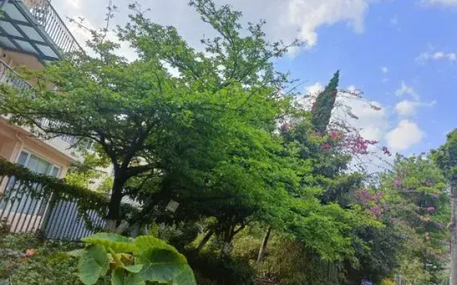 Xixi Huajian Homestay
