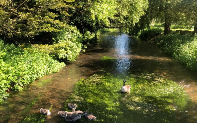 Tewinbury Farm Hotel