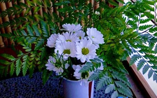 Yamaumi Onsen Shyuku Kaifuu