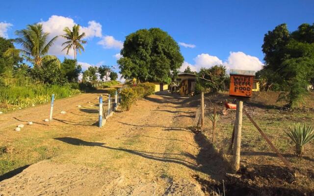 The Beehive Fiji