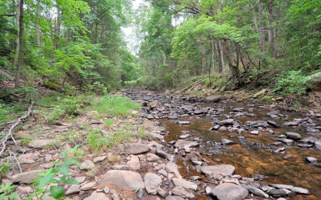 Rosies Creekside Retreat - 3 BR Escape!