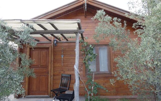 Sakin Vadi Winehouse