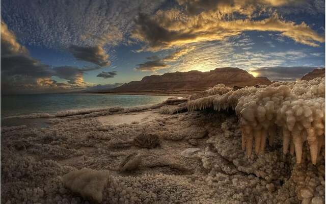 Desert View