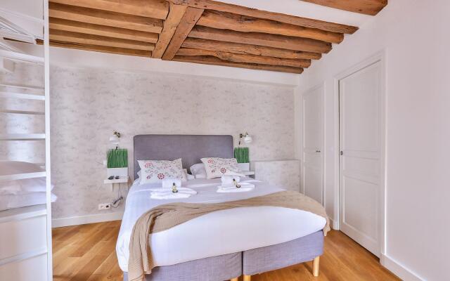 B 364 - Deluxe apartment in the heart of  Notre Dame