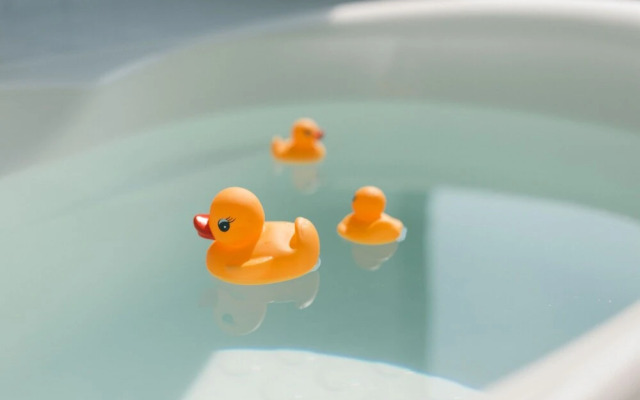 Blue Steak Wonder Senaha