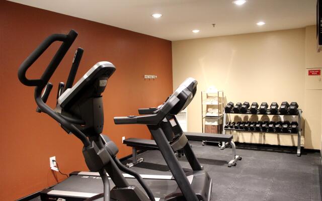 Best Western Plus Edinburg Inn & Suites