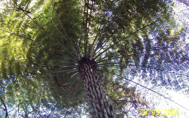 Westwind Homestay B & B