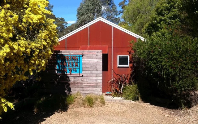 Springs Creek on 7th