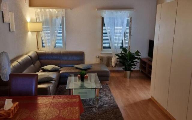 Apartment - Bern City