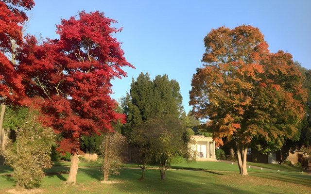 Highfield Park
