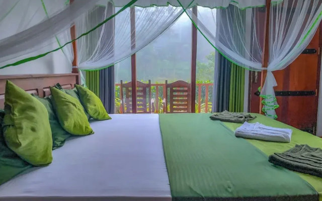Rain Forest Vibe Sinharaja