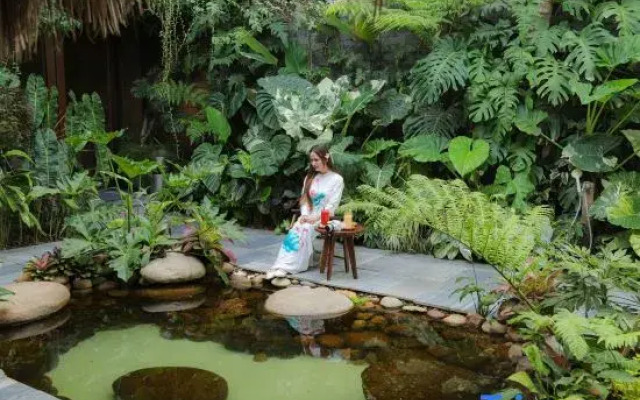 K-House Vs Apartment