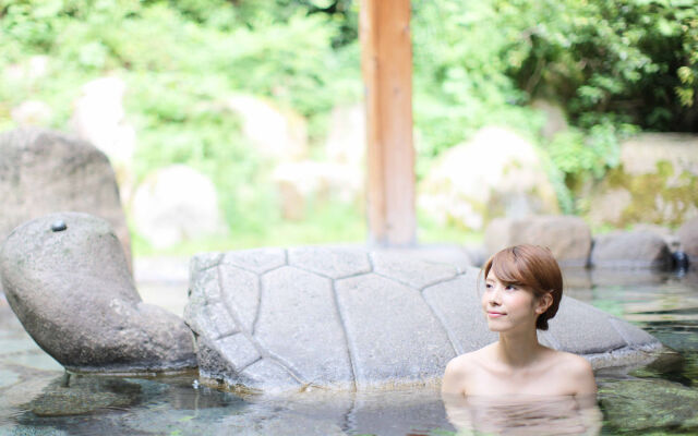 Fuga No Yado Chouseikan