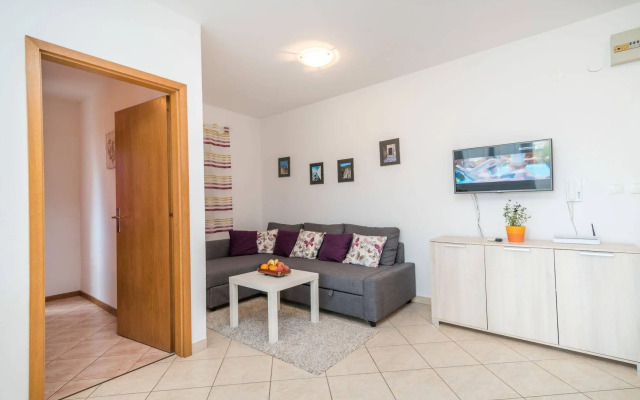 Apartments Vojin