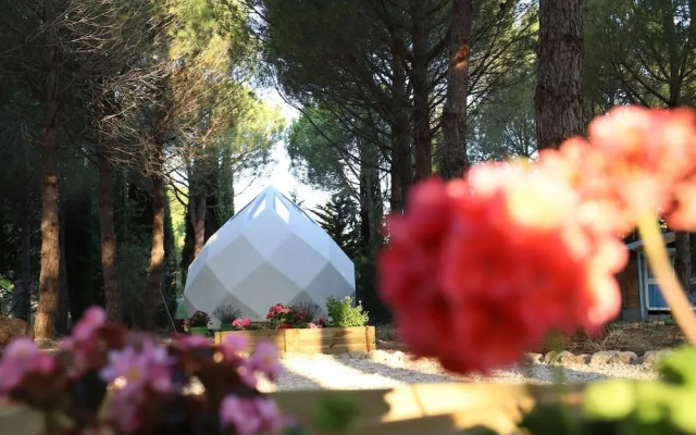 O Campement des Possibles