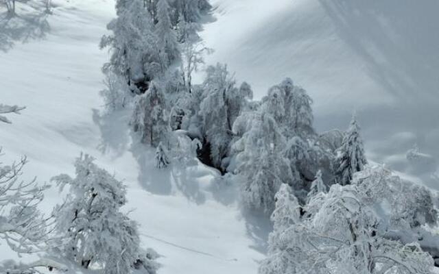 Apartment Familie Webhofer
