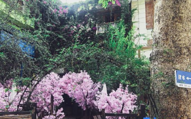 Jianshui TaoZhi Homestay