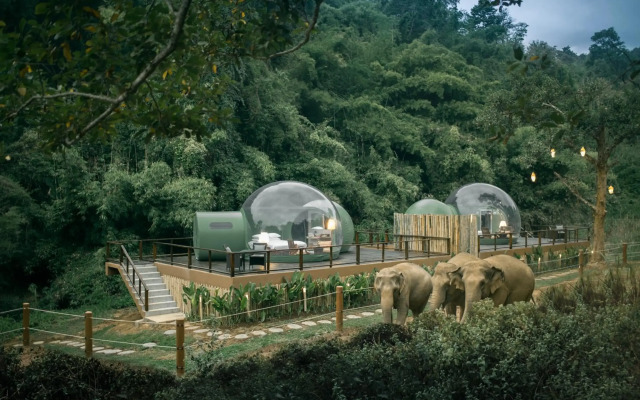 Anantara Golden Triangle Elephant Camp & Resort