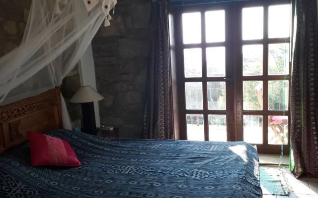 Lazy Lizard Boutique-Hotel