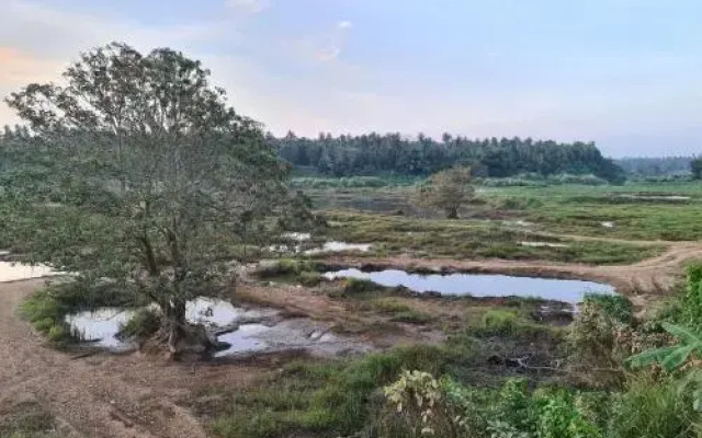 Araliya Holiday Bungalow