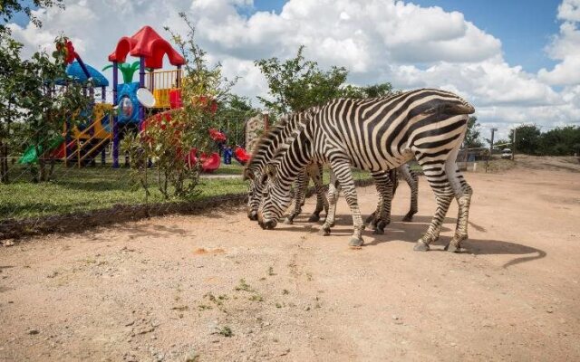 Mokorro Game Ranch and Lodge