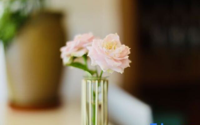 Jing Guisu Homestay (Shuimo Tingxi Branch)