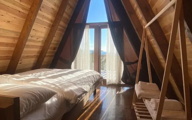 Tenora Suit Bungalov