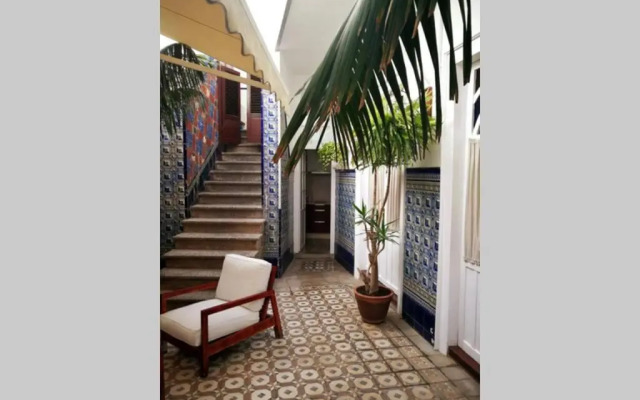 Patio Central