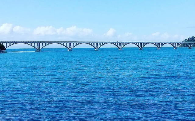 Hostel La Ballena Backpacker