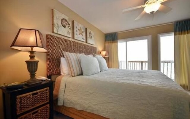 Dolphin Run by Blue Sun