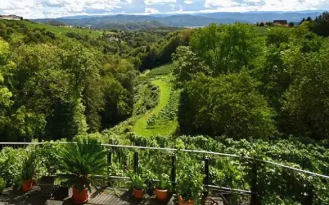 Malerisches Weingartenhäuschen in Kitzeck