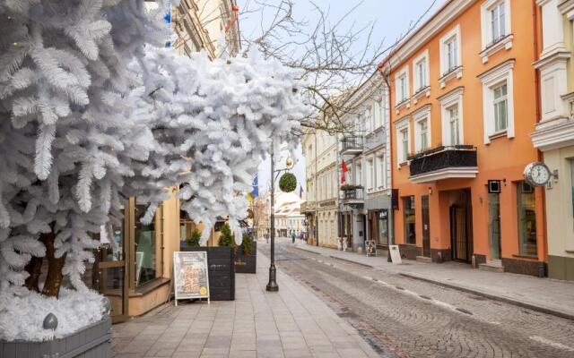 #stayhere - Cozy 1BDR Apartment Vilnius Old Town