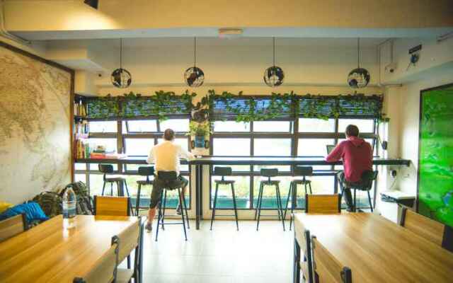 Traveller Bunker Hostel 1