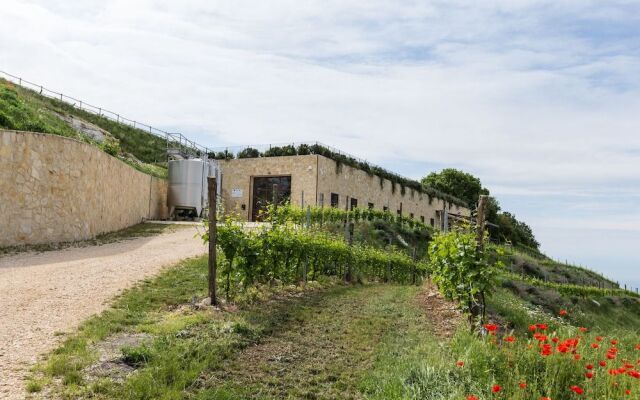 Ca' del Moro Wine Retreat