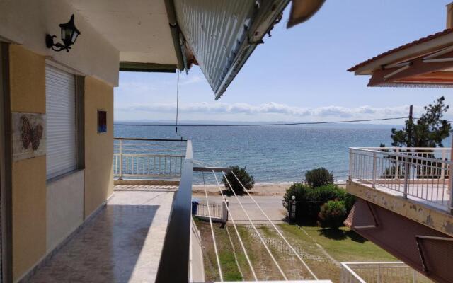 Entire Appartment 50m from sea - Spiros