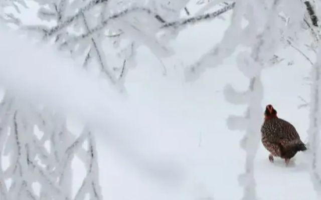 Guangwu Mountain Haoji Nongjiale