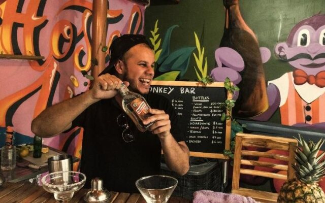 Purple Monkey Hostel