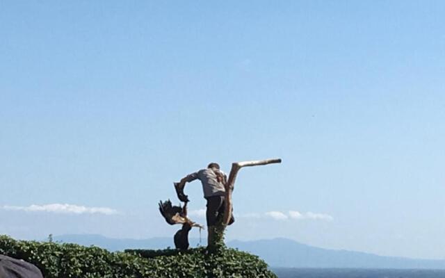 Les Volets Bleus (Adults Only)