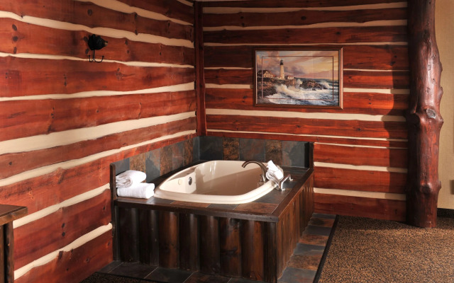Stoney Creek Hotel Quad Cities - Moline
