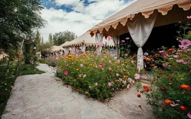 Nubra Summer Camp