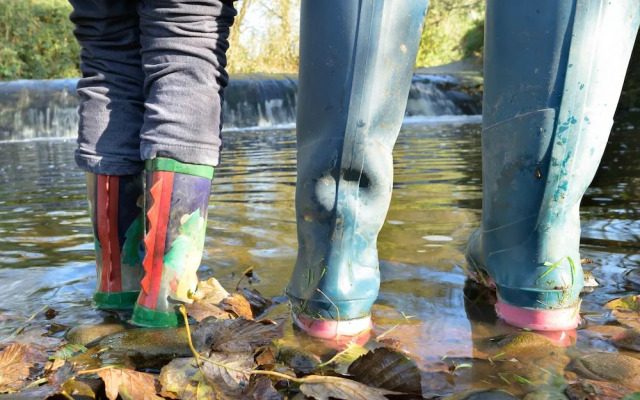 Orchard Glamping -willow Pod