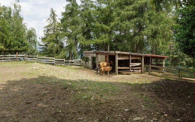 Unique Holiday Experience in the Greenery And Near the Lake